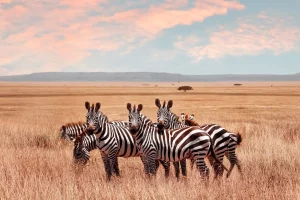 Best places to visit in Tanzania