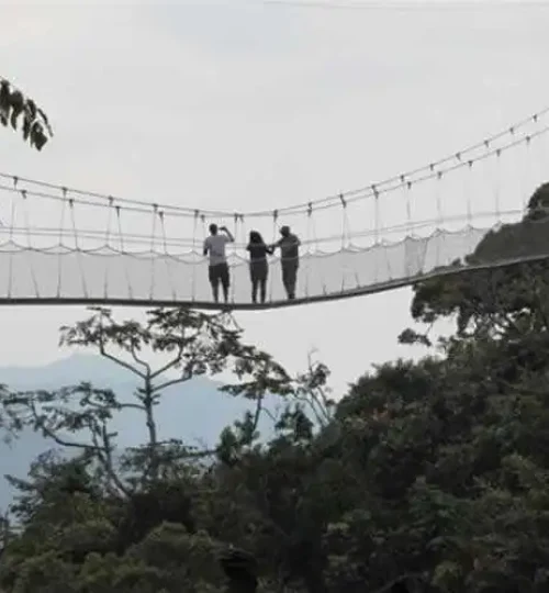 canopy-walkway-nyungwe